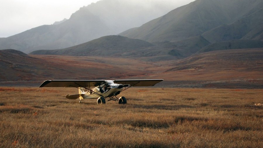 Bush plane