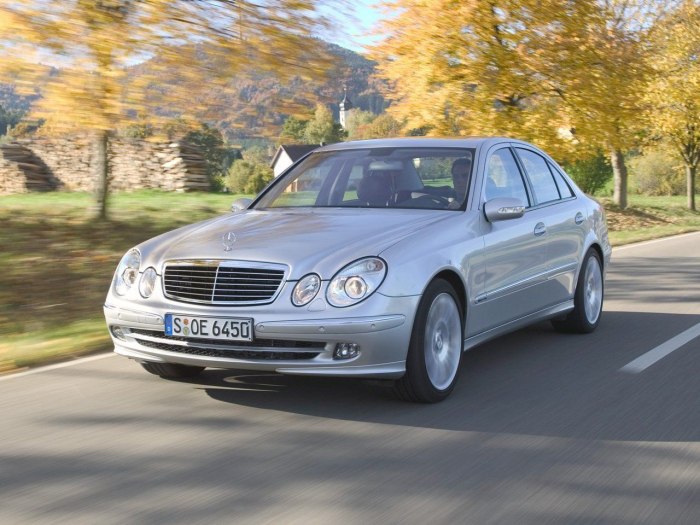 Mercedes-Benz e-class w211_s211