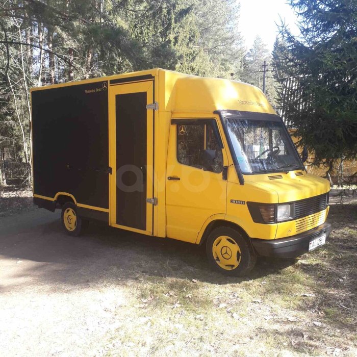 Mercedes Benz 308d почтовик