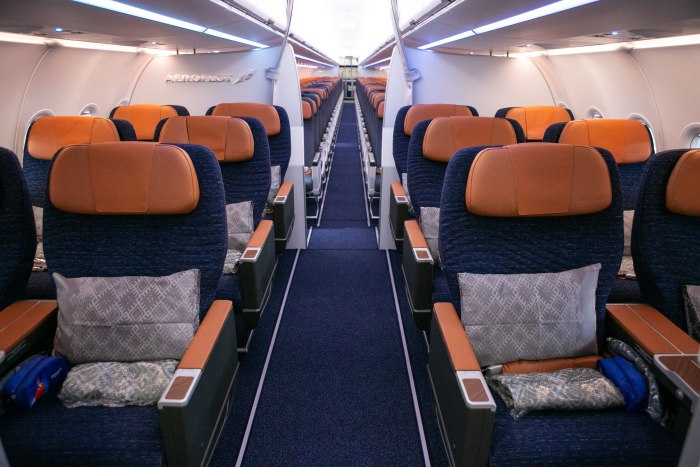 Аэробус а320 Аэрофлот салон эконом