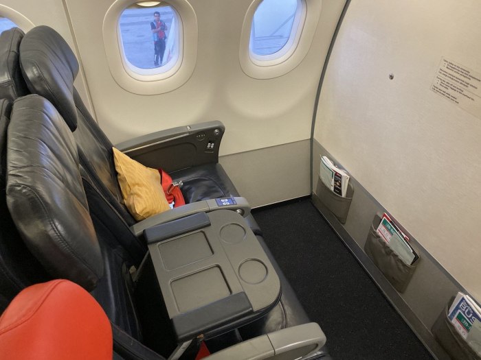 Airbus a320 Уральские авиалинии бизнес класс