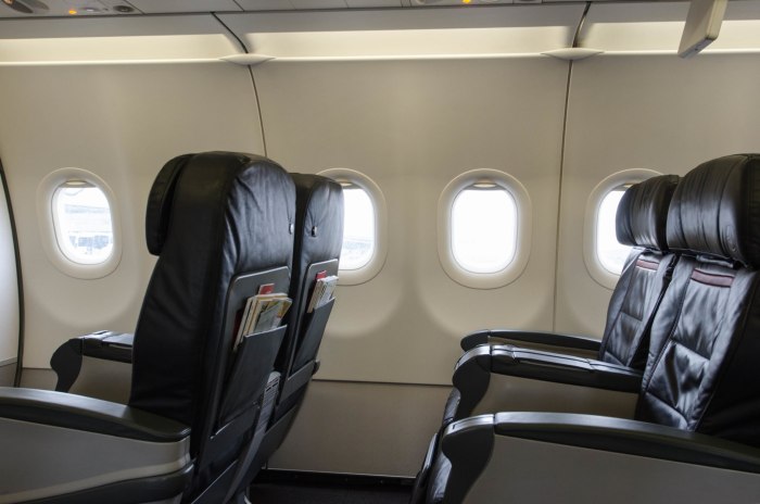 Airbus a320 Turkish Airlines салон
