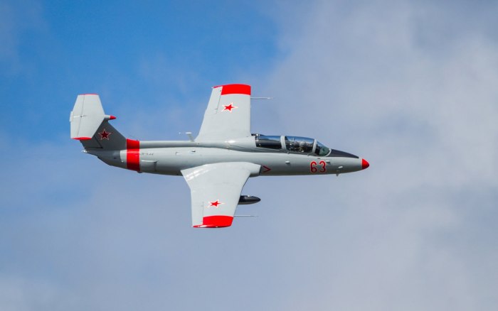 Л-29 Дельфин