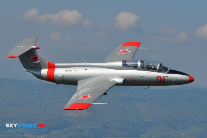 L29 Дельфин кабина