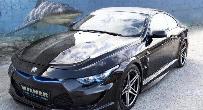 BMW e63 Shark
