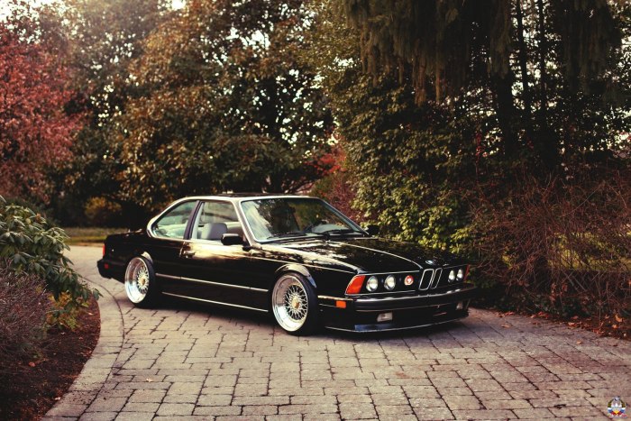 E BMW e24