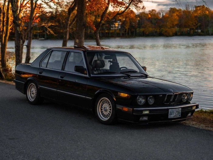 BMW 7 акула