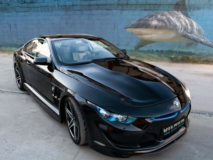 BMW m6 Shark