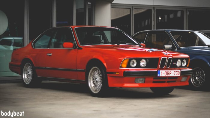 БМВ акула e34
