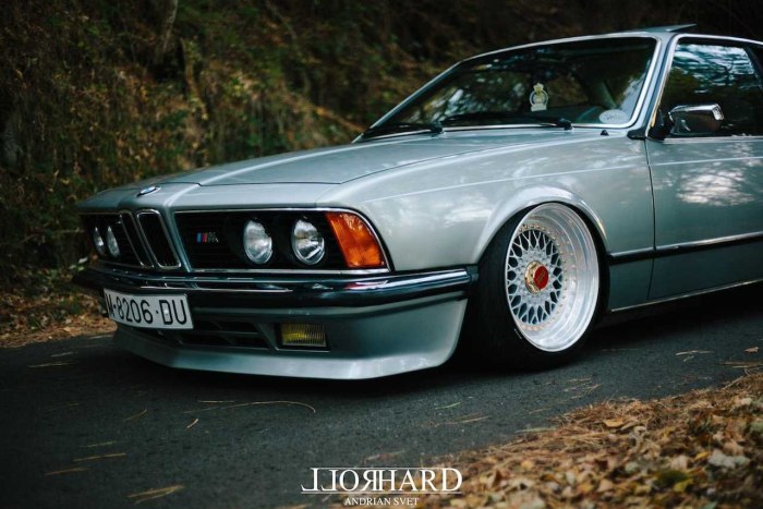 BMW e24 акула