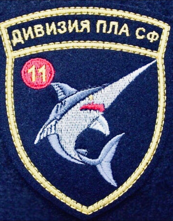 Шеврон АПЛ 11 дивизии