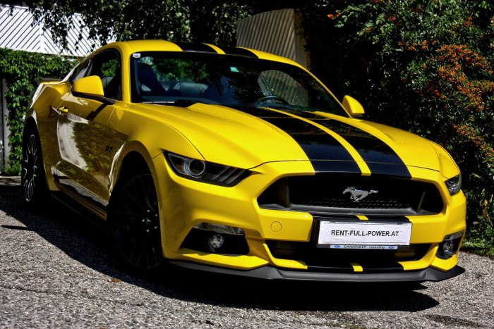Ford Mustang 6