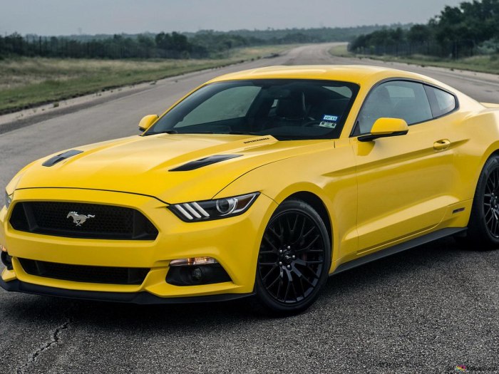 Ford Mustang gt4