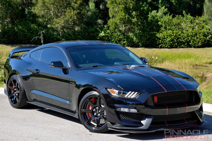 Mustang gt350r