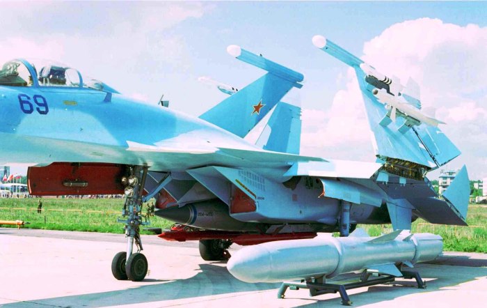Су-33 Оникс