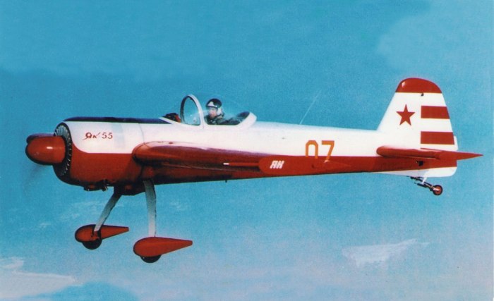 Yak 55
