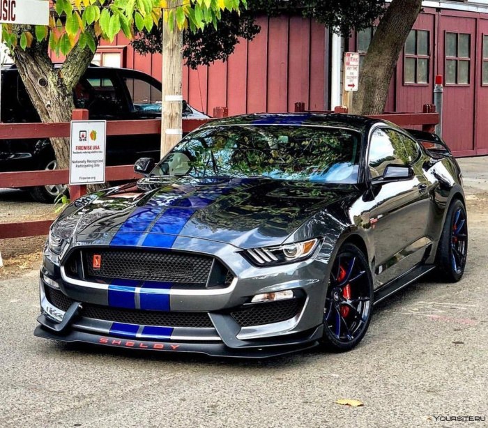 Ford Mustang Shelby gt350
