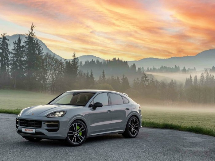 Porsche Cayenne 2024