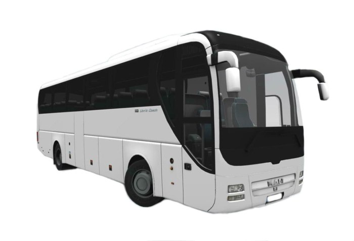 Man Lion’s coach 50 мест