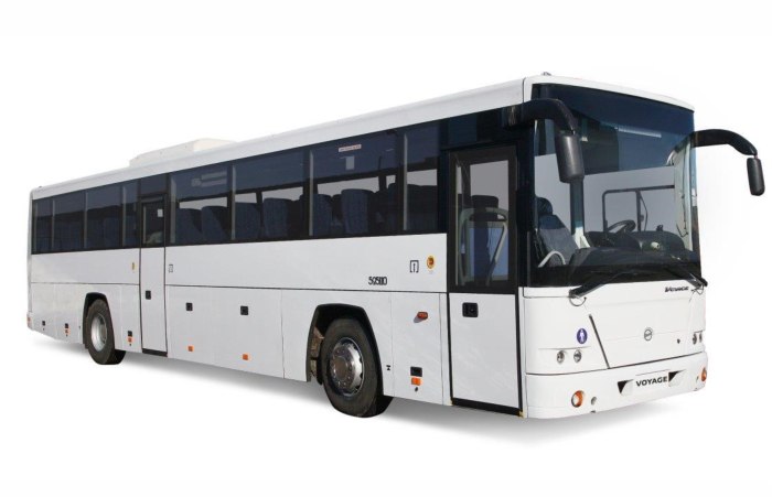 ГОЛАЗ-5251 Вояж