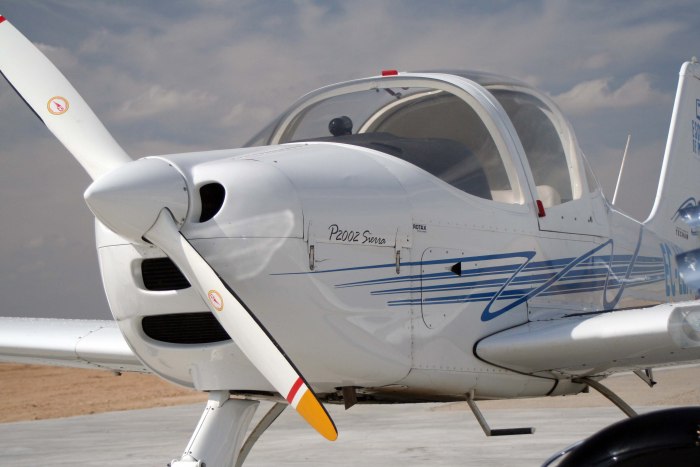 Самолет Tecnam p2002