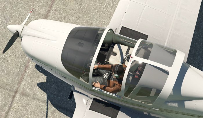 Tecnam p2002 Sierra кабина