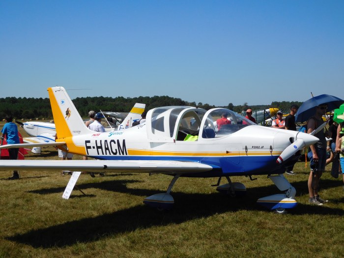 Tecnam p2002