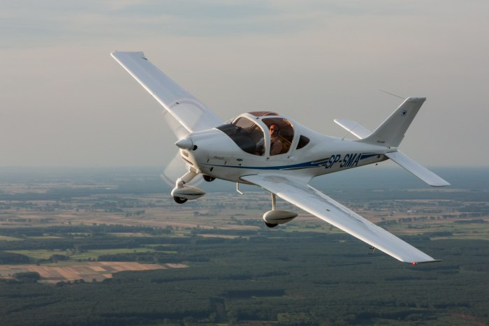 Tecnam p2002 кабина