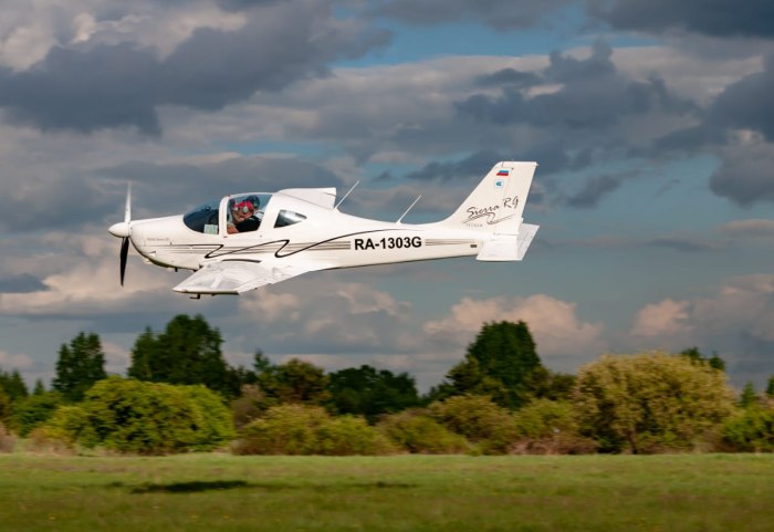 Tecnam p2002 Sierra
