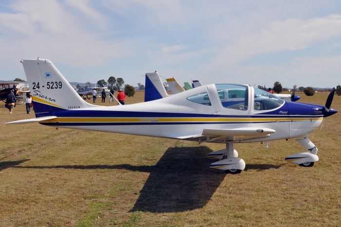 Самолет Tecnam p2002 Sierra