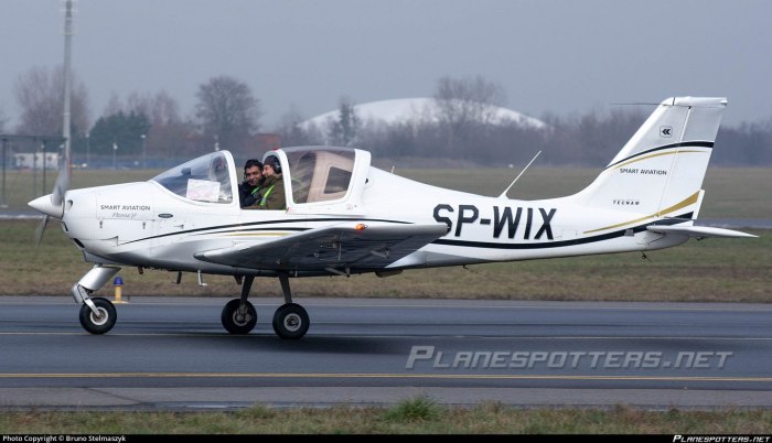 Самолет Tecnam p2002 Sierra