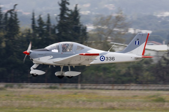 Tecnam 2002