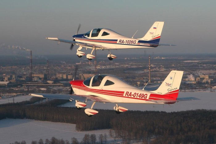 Tecnam p2002 кабина