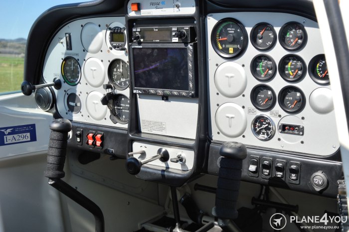 Tecnam p2002 Sierra кабина