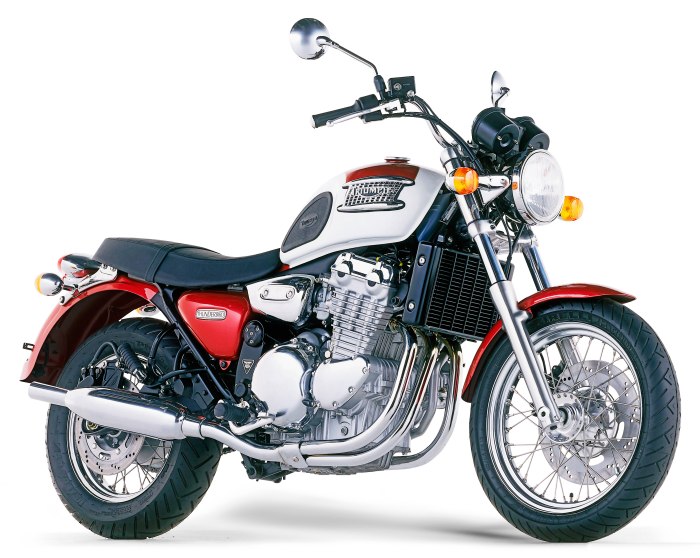 Triumph Thunderbird 900 1995