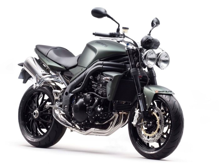 Triumph Speed Triple 2009
