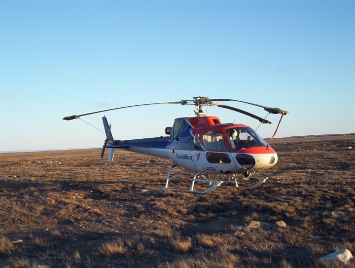 As 350 вертолет