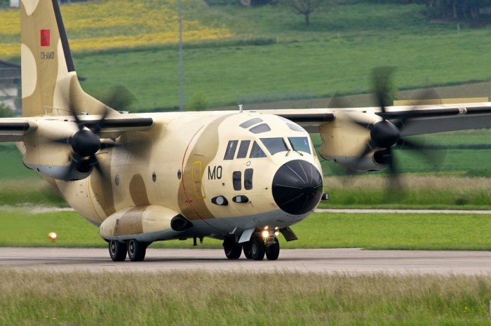 Alenia c-27j Spartan (c27j)