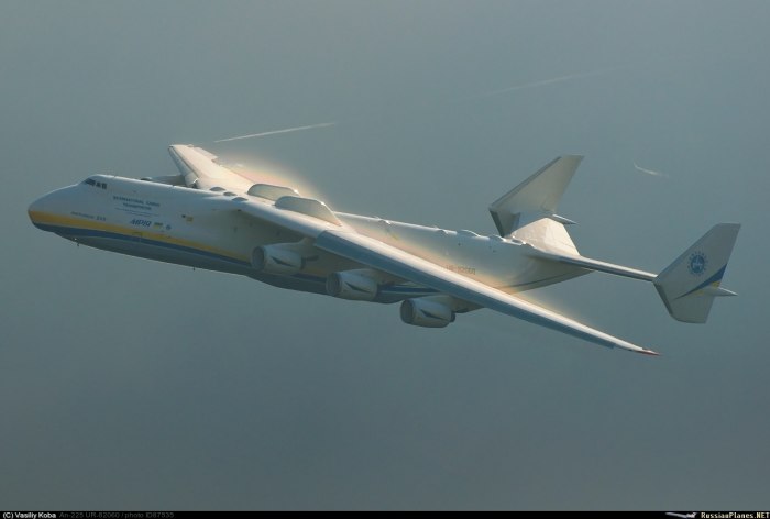 АН 224