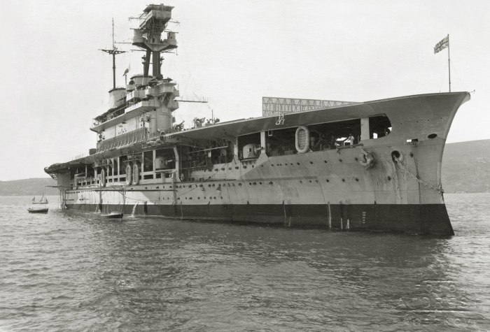 Авианосец Argus