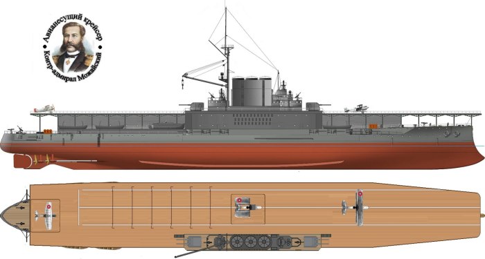 Первые авианосцы