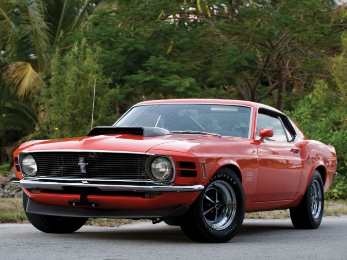 Ford Mustang Shelby Boss 429