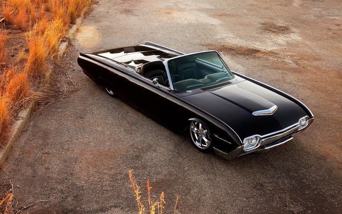 Ford Thunderbird 1961