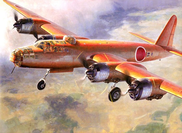 Shigeo Koike. Истребитель Nakajima ki-49.