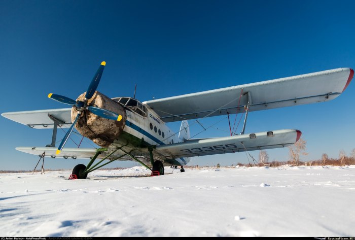 АН 2 салон самолета