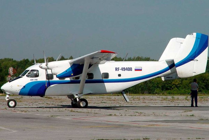 АН 28 шасси