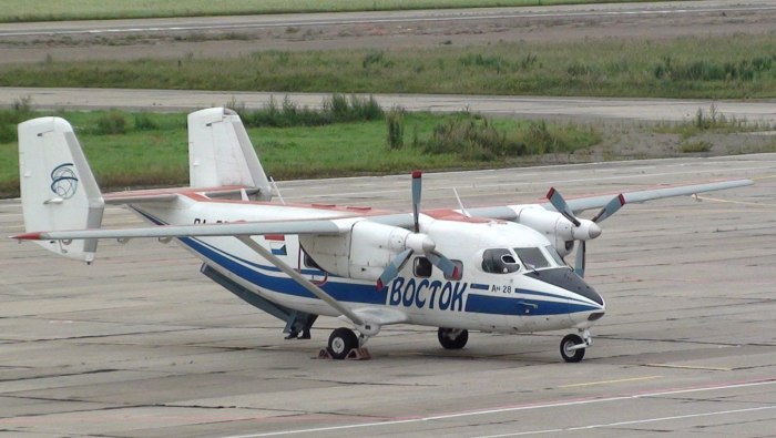 Самолет Пчелка АН 28