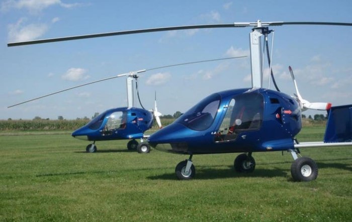 Автожиры до 115 кг цена