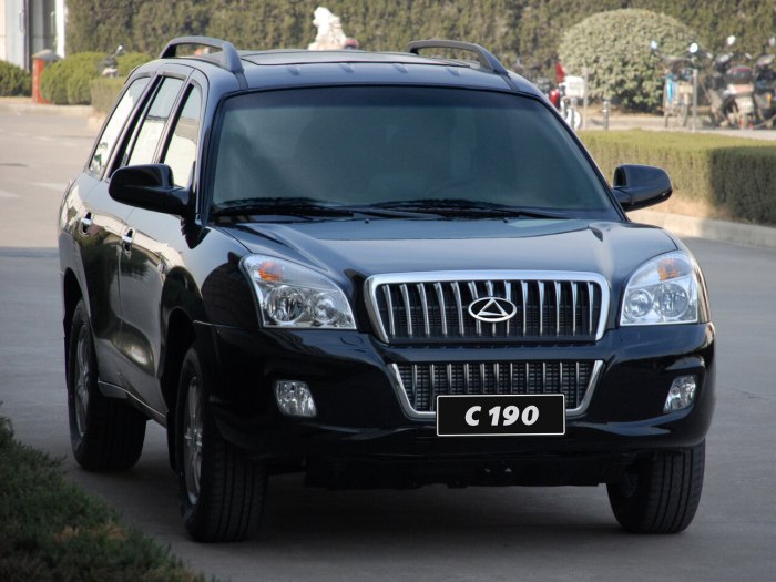 ТАГАЗ с190 JAC rein