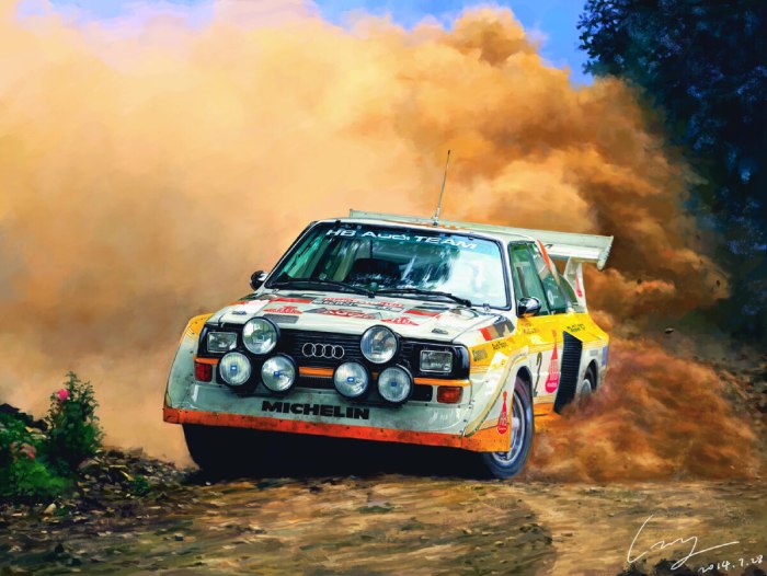 Audi quattro s1 Rally